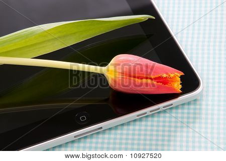 Tablet Touch con tulipano