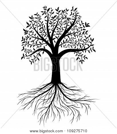 Vector Tree With Leaves And Roots