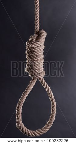 Old rope with hangman's noose i very large resolution (46 mpix)