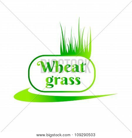 Wheat grass green juice. Logo, banner, frame for business, the store site for clean super food or pa