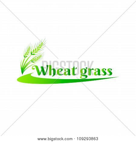 Wheatgrass green juice. Logo, banner, frame for business, the store site for clean super food or pal