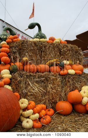 Seasonal_Market