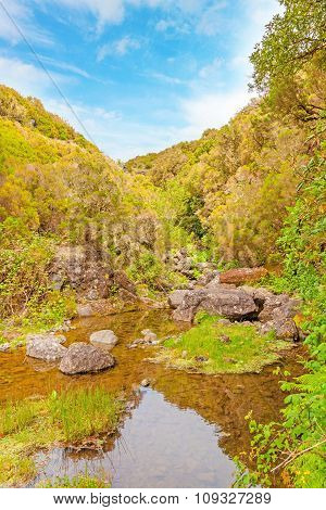 Tropical Natural Landscape