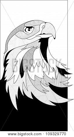 eagle head sketch
