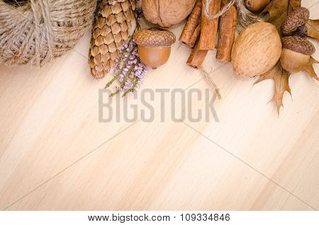 autumn background with cone