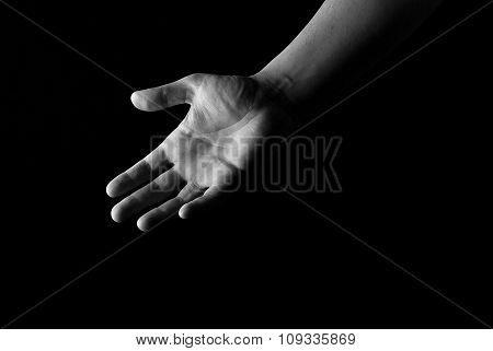 Hand