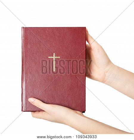 hands holding the book bible