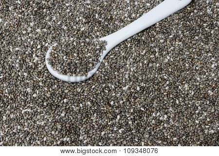 Chia seed