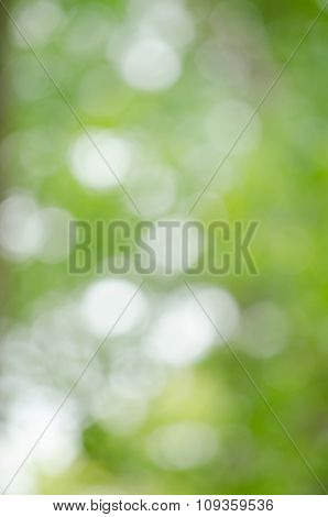 Bokeh Green Background