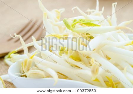 Mung Bean Sprouts In White Cup.