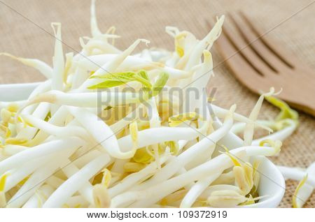 Mung Bean Sprouts In White Cup.
