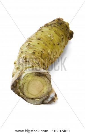 Wasabi