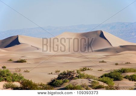 Sand Dune At The Death Valley National Park Usa