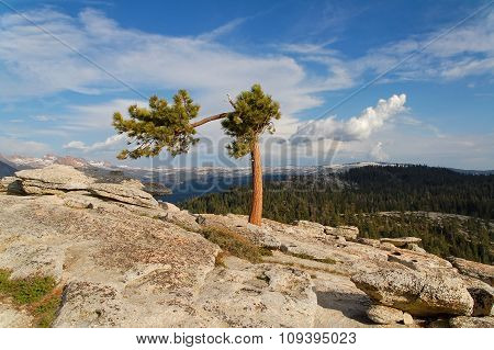 Yosemite Nation Park