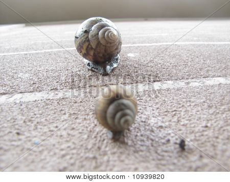 Follow the leader