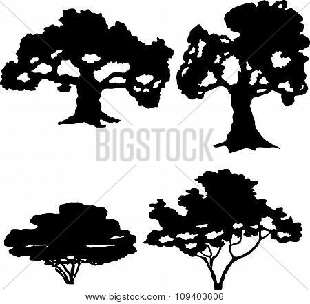 trees