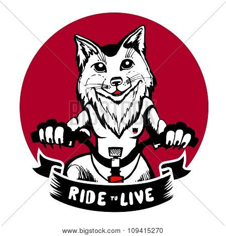 pleased fox riding a bicycle