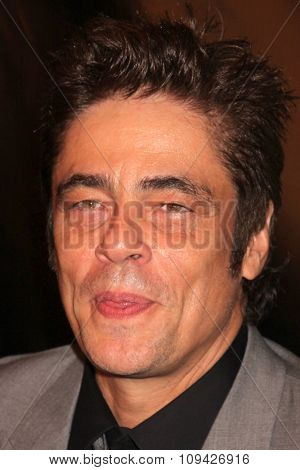 LOS ANGELES - AUG 13:  Benicio Del Toro at the HFPA Hosts Annual Grants Banquet - Arrivals at the Beverly Wilshire Hotel on August 13, 2015 in Beverly Hills, CA