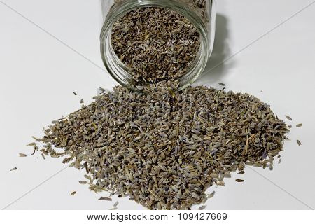 Dried lavender flowers