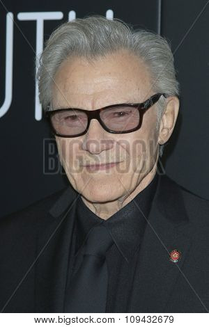 LOS ANGELES - NOV 17:  Harvey Keitel at the 