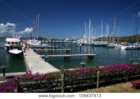 Yachts in marina