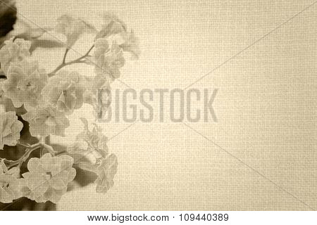 Sweet Color Flowers Of Kalanchoe Plant On Old Brown Cloth Texture Vintage Styled