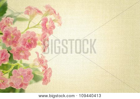 Pink Flowers Of Kalanchoe Plant On Old Yellow Cloth Texture Vintage Styled