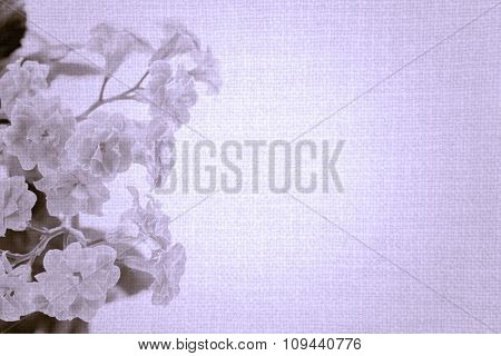 Sweet Color Flowers Of Kalanchoe Plant On Old Violet Cloth Texture Vintage Styled