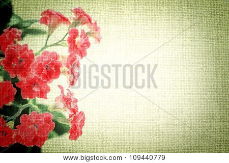 Bright Red Flowers Of Kalanchoe Plant On Old Cloth Texture Vintage Styled High Contrasted With Vigne