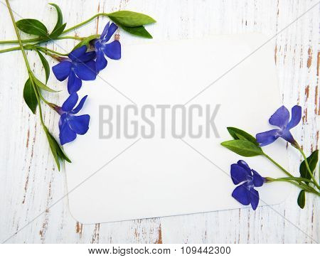 Perwinkle And Card
