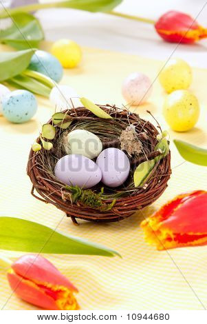 Pasqua uova nel nido