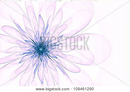 Large Flower On A White Background With Transparent Petals