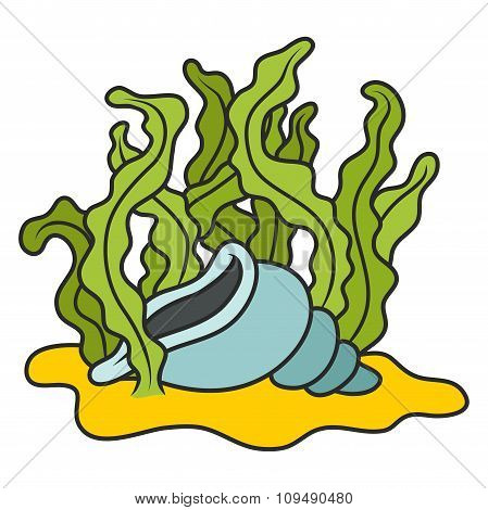 Shell In Algae