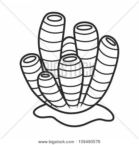 Sea Sponges