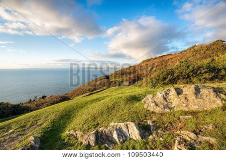 Cliifs At Rame Head