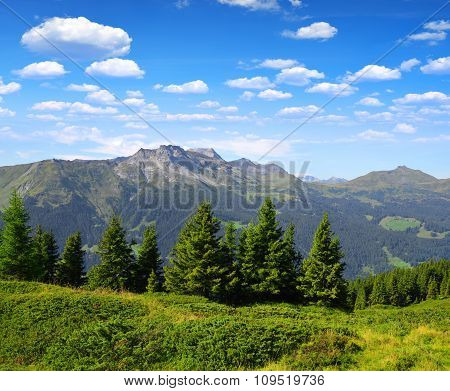 Mountain Casanna and Weissfluhjoch - Switzerland