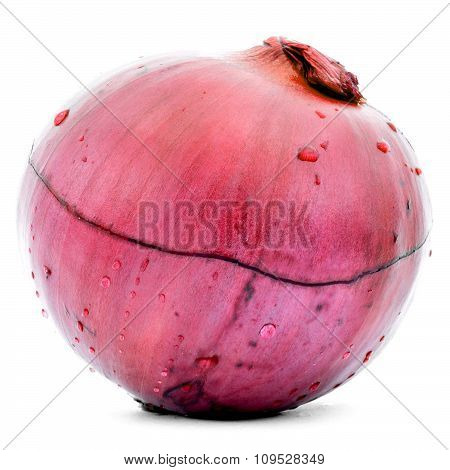 Wet red onion with water drops and gorizontal rupture