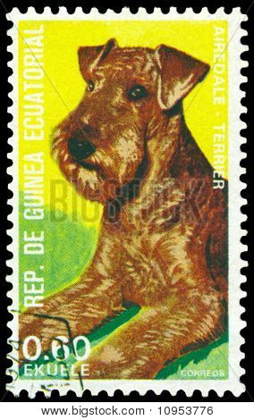 Vintage posta pulu. Airedale Terrier.