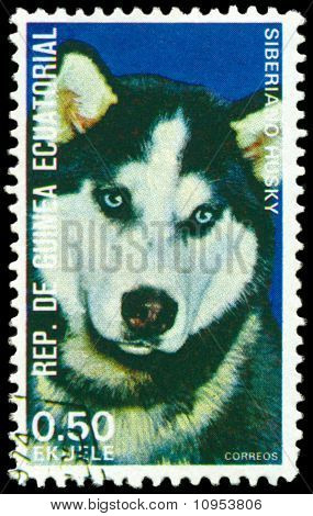 Vintage posta pulu. Husky Sibberiano.