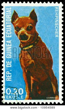 Vintage posta pulu. Rehpinscher.
