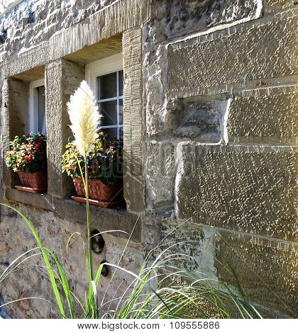 Flower in House Front