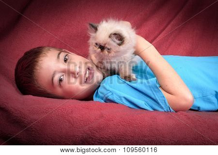 A Young Blue Point Himalayan Persian Kitten
