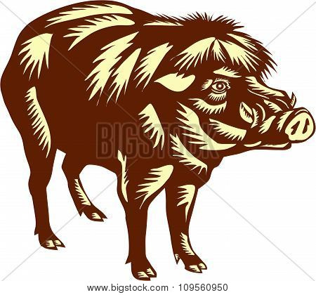 Philippine Warty Pig Woodcut