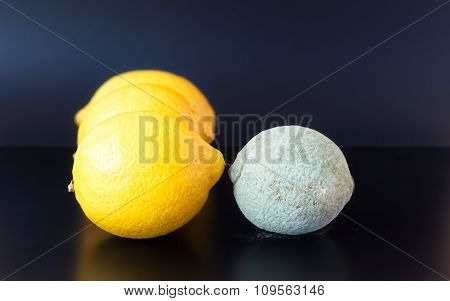 Moldy Lemon Facing Healthy Ones