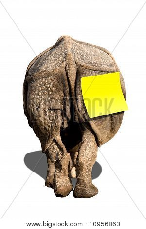 Rhino varoitus tarra tagilla eristetty