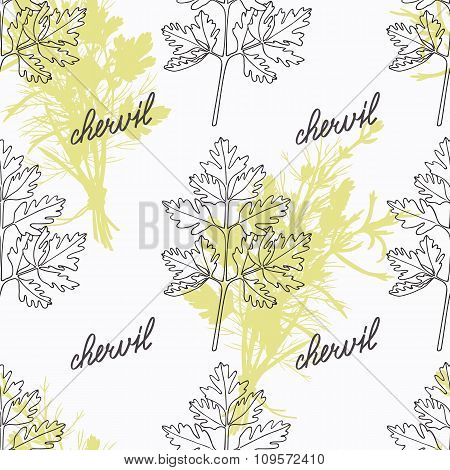 Hand drawn chervil branch and handwritten sign. Spicy herbs seamless pattern. Doodle kitchen backgro