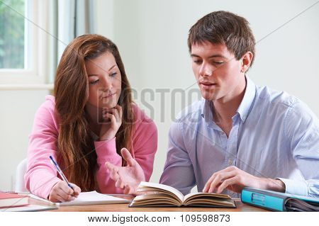 Teenage Girl Studying With Home Tutor