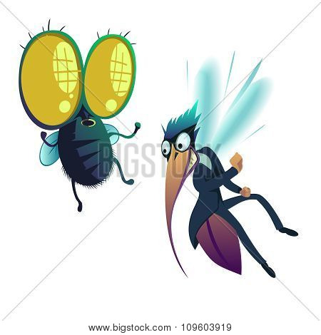 Insect, Fly And Mosquito