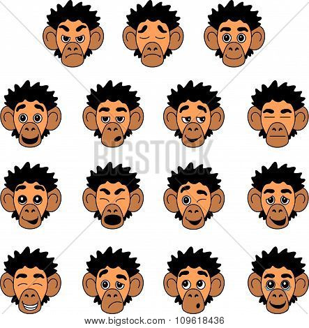 Monkey face expressions
