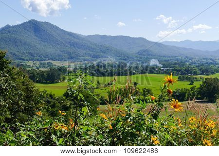 Flowerbed With Mountain And Paddy View